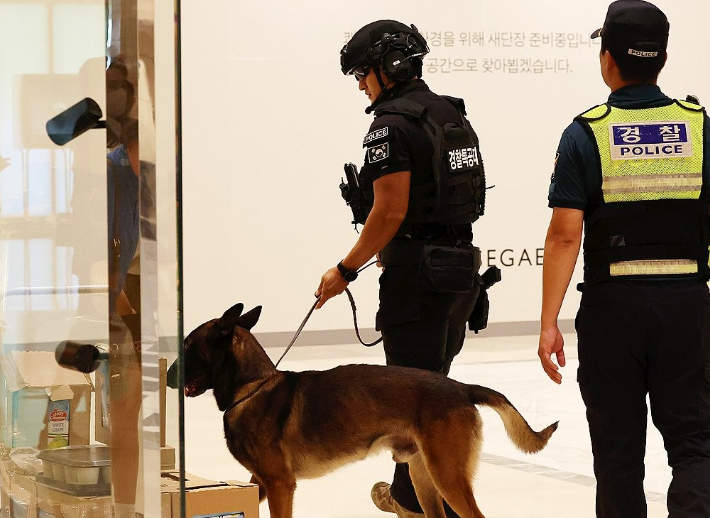 위 사진은 기사 내용과 관련이 없음. 연합뉴스