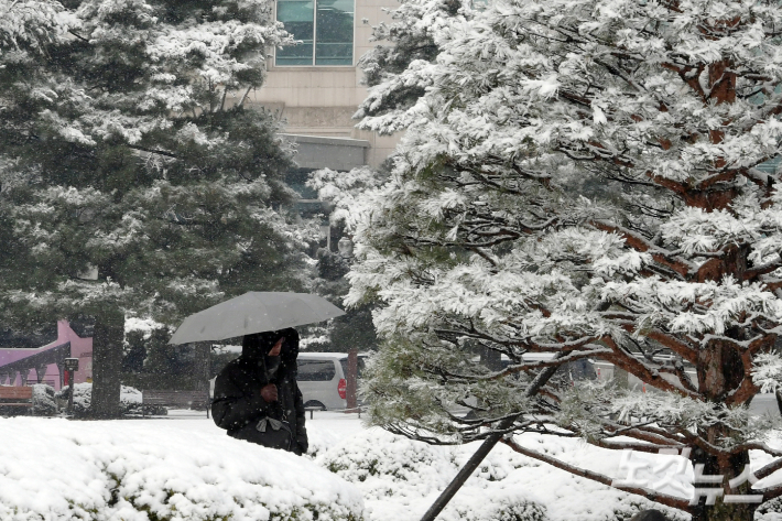 대설특보에 중대본 1단계 가동…"퇴근길·보행 안전 유의"