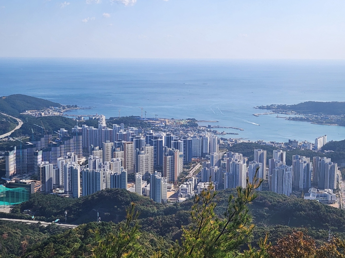 부산시가 2025 부산사회조사결과를 발표했다. 박상희 기자