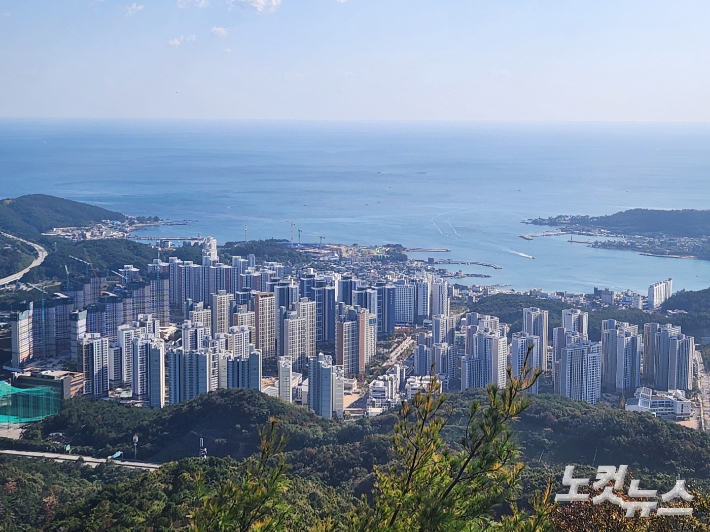 부산시가 2025 부산사회조사결과를 발표했다. 박상희 기자