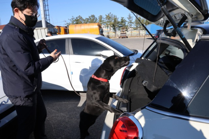 동해해양경찰서는 5일 동해세관과 동해지방해양수산청 등 관계기관과 함께 동해항과 국제여객터미널 일대에서 수출 대기 차량을 대상으로 합동 불시점검을 실시했다. 동해해양경찰서 제공