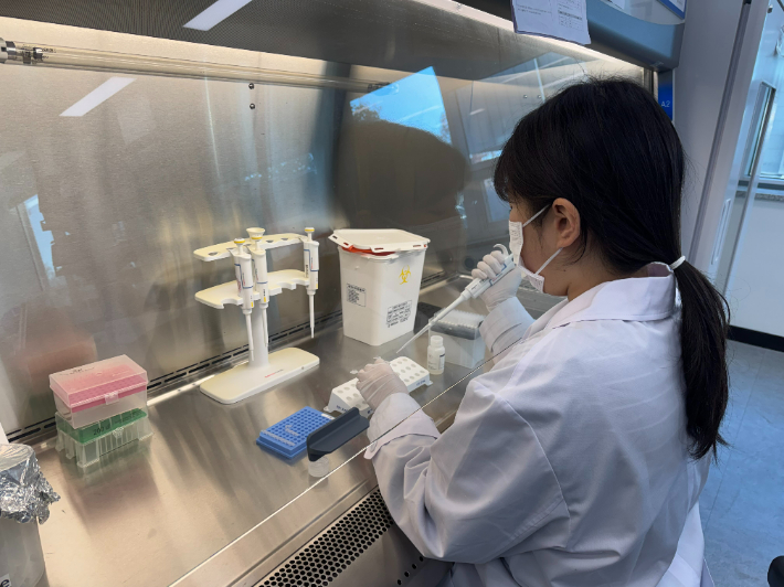 하수 유입수 병원체 바이러스 검사. 전라남도 보건환경연구원 제공