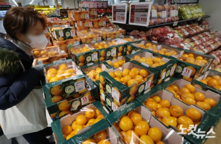 귤, 사과 등 신선과실과 쌀을 비롯한 곡물 가격이 큰 폭으로 오르며 서민들의 장바구니 물가 부담이 커진 가운데 8일 서울의 한 대형마트에서 시민들이 과일을 구매하고 있다. 제철 과일인 귤은 26.5%나 올랐고 사과(21.0%)도 급등하며 주요 과일류 가격이 크게 뛰었다.