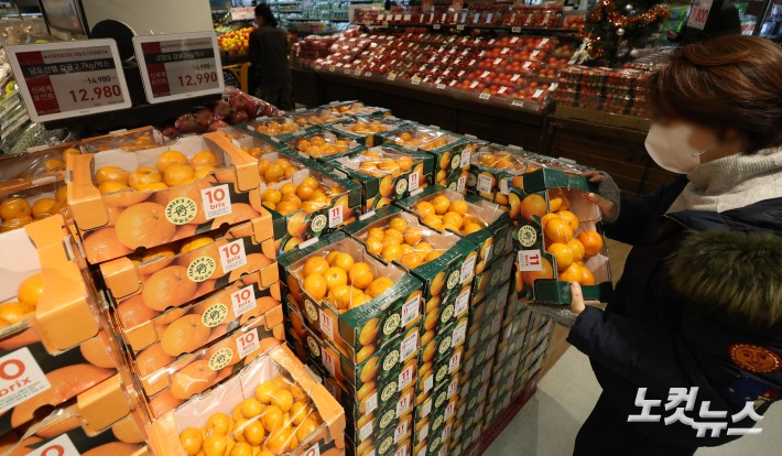 귤, 사과 등 신선과실과 쌀을 비롯한 곡물 가격이 큰 폭으로 오르며 서민들의 장바구니 물가 부담이 커진 가운데 8일 서울의 한 대형마트에서 시민들이 과일을 구매하고 있다. 제철 과일인 귤은 26.5%나 올랐고 사과(21.0%)도 급등하며 주요 과일류 가격이 크게 뛰었다.