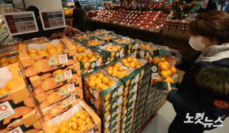 귤, 사과 등 신선과실과 쌀을 비롯한 곡물 가격이 큰 폭으로 오르며 서민들의 장바구니 물가 부담이 커진 가운데 8일 서울의 한 대형마트에서 시민들이 과일을 구매하고 있다. 제철 과일인 귤은 26.5%나 올랐고 사과(21.0%)도 급등하며 주요 과일류 가격이 크게 뛰었다.