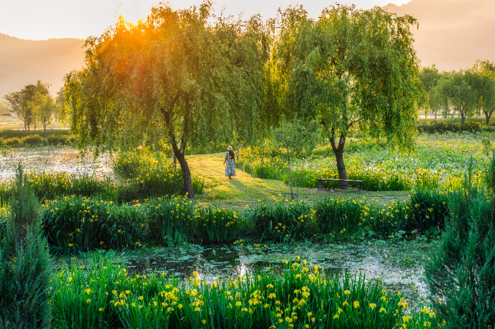 거창 창포원. 경남도청 제공 