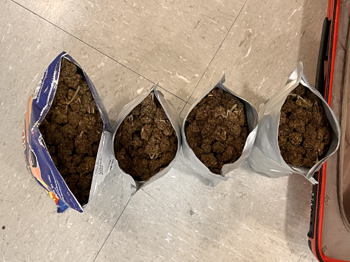 경찰이 인천공항에서 입수한 대마초 암꽃. 전남경찰청 제공