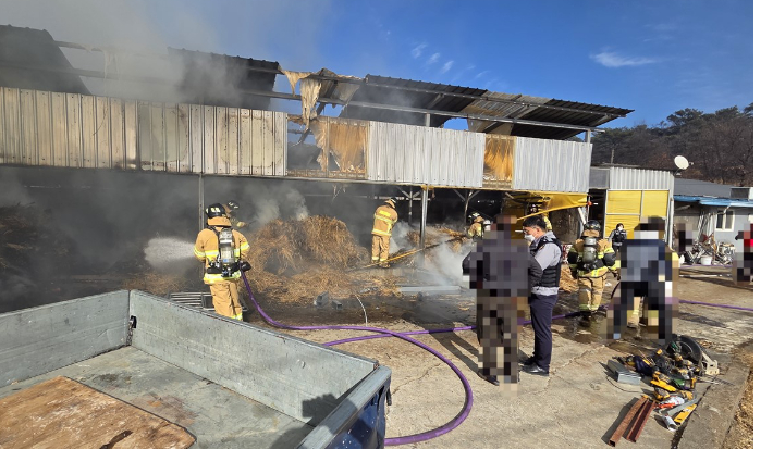 출동한 소방관들이 경주시 서면 우사 화재를 진화하고 있다. 경북소방본부 제공
