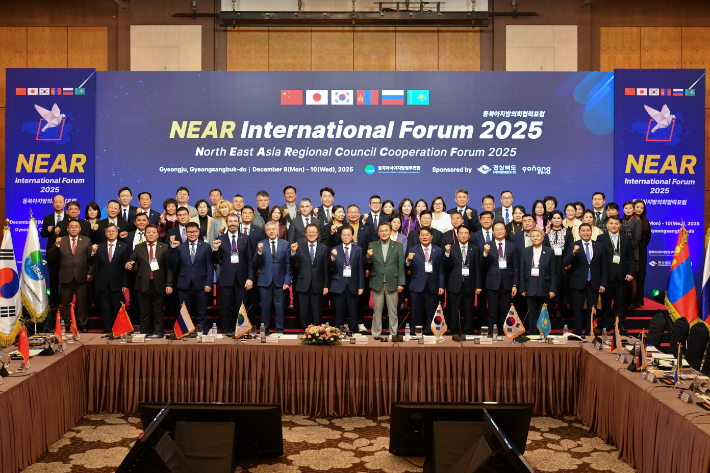 2025 NEAR 국제포럼. 경남도의회 제공 