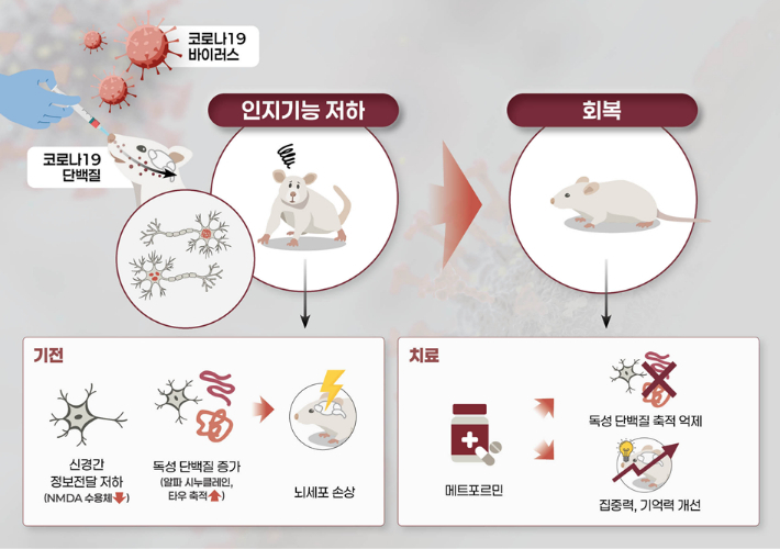 국립보건연구원 제공
