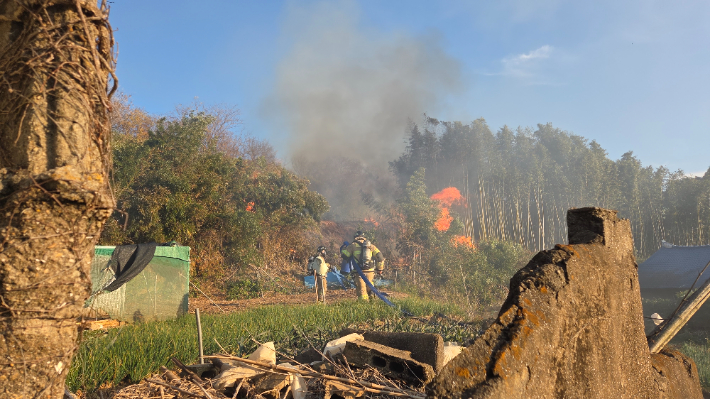 9일 오후 4시 4분쯤 전남 여수시 소라면 복산리의 한 대밭에서 화재가 발생했다. 독자 제공