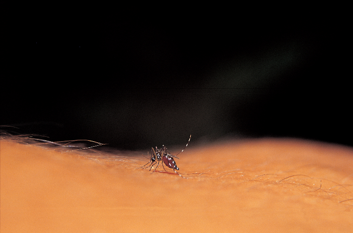 스마트이미지 제공