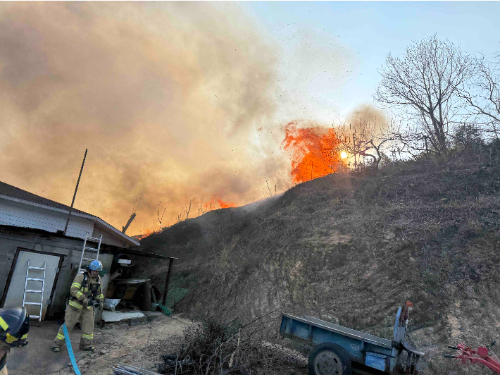 10일 오전 10시 55분쯤 강원 양양군 손양면 상왕도리의 한 야산에서 불이 나 51분 만에 진화됐다. 강원소방본부 제공