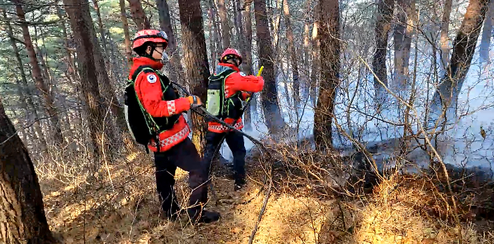 양양 산불 진화에 나선 특수진화대. 산림청 제공