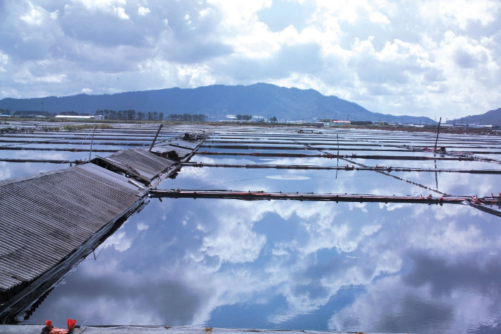 스마트이미지 제공