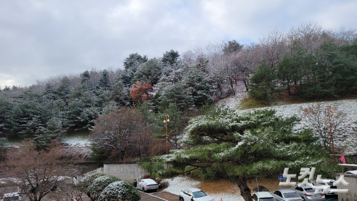 12일 강릉지역에 밤 사이 3cm 안팎의 눈이 내린 모습. 전영래 기자