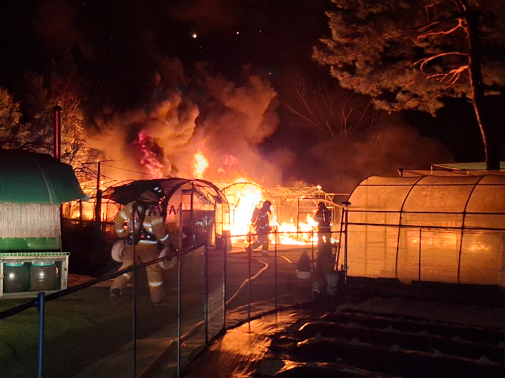 경북소방본부 제공