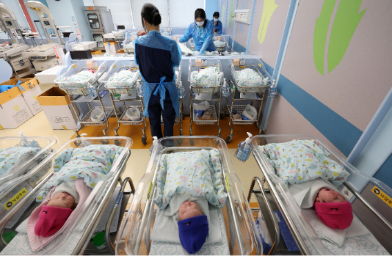 신생아들. 기사와 직접적 관련 없음. 연합뉴스