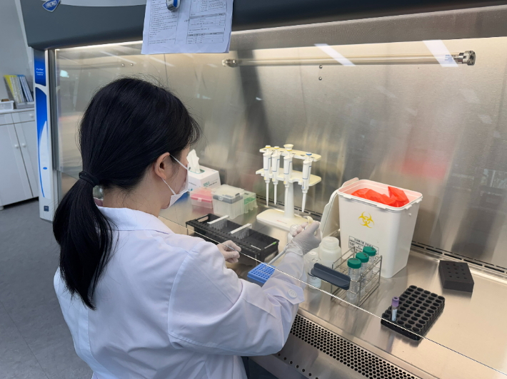 쓰쓰가무시증 검사. 전라남도 보건환경연구원 제공