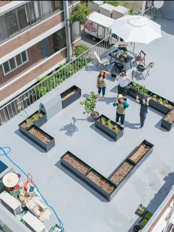 시티파머스 옥상 텃밭. 시티파머스 인스타 캡처