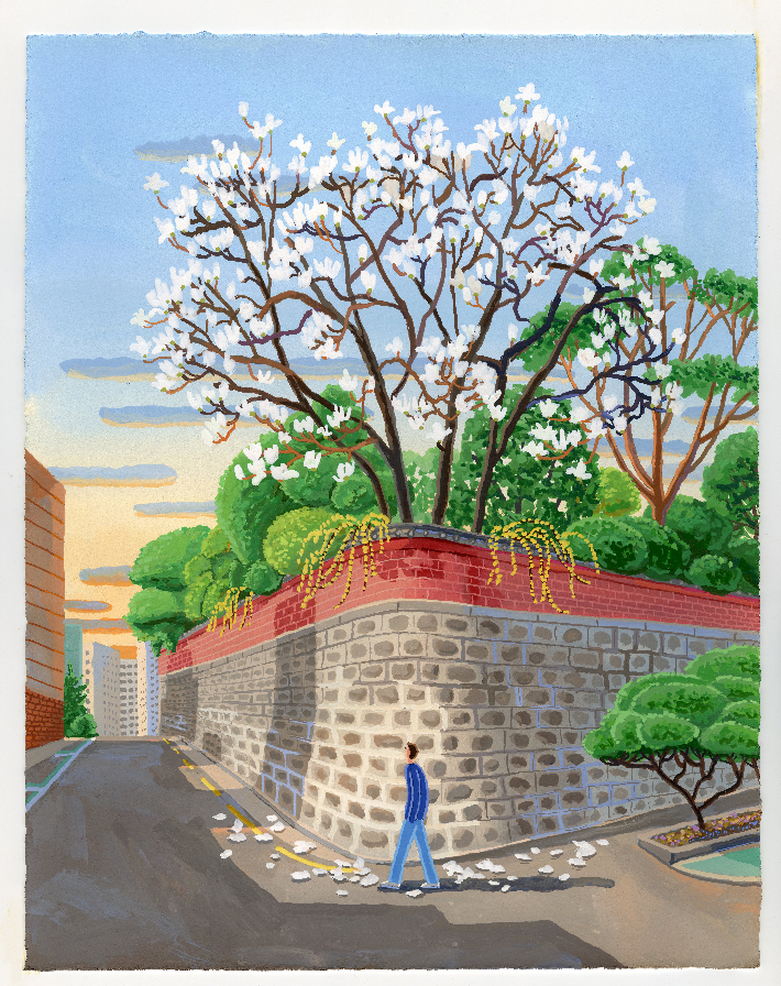 이슬아, 'Magnolia(목련)', watercolor and gouache on Arches, 40.9x31.8cm(2025). 김리아갤러리 제공