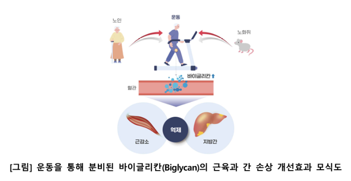 질병관리청 제공