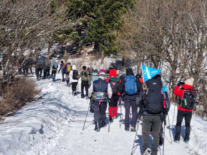 주말걷기에 참가한 시민과 관광객들. 강릉시 제공