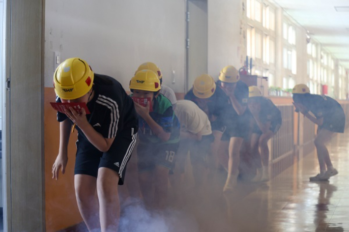 플랜코리아 제공