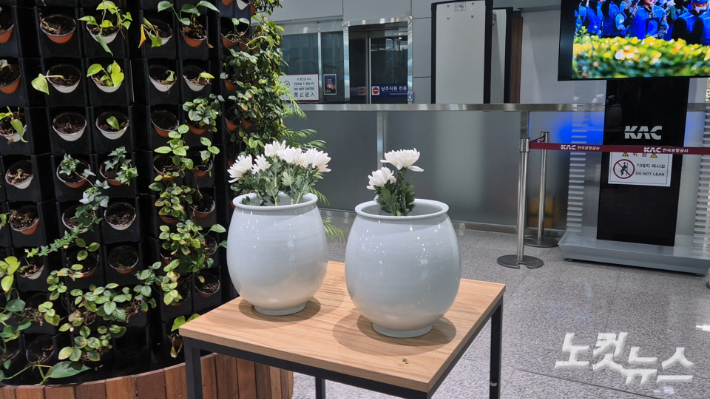 무안국제공항 1층 분향소 앞에 놓인 국화. 한아름 기자