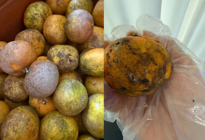 온라인 커뮤니티 캡처