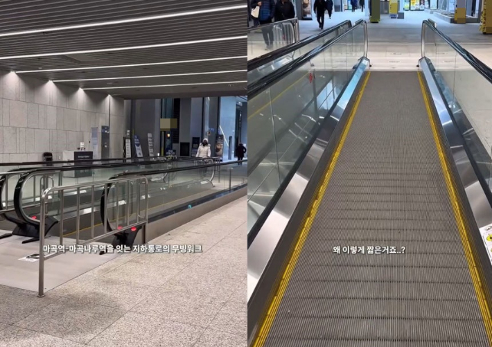 무빙워크가 움직이는 거리 고작 5m[어텐션 뉴스]
