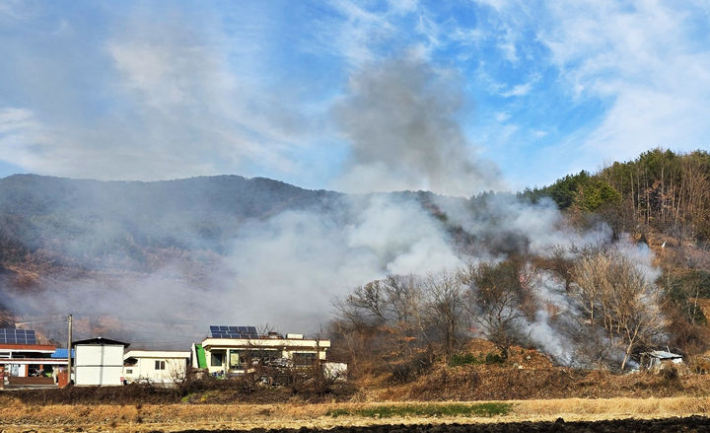 지난 21일 오후 2시 19분쯤 전남 광양시 옥곡면의 한 야산에서 불이 나 약 37분 만인 오후 2시 56분쯤 완전히 진화됐다. 산림청 제공 