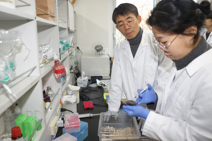 울산대학교 학생이 실험 동물에서 약물주사를 하고 있다. 울산대 제공