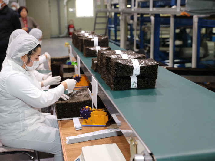 조미김 생산 현장. 전라남도 제공