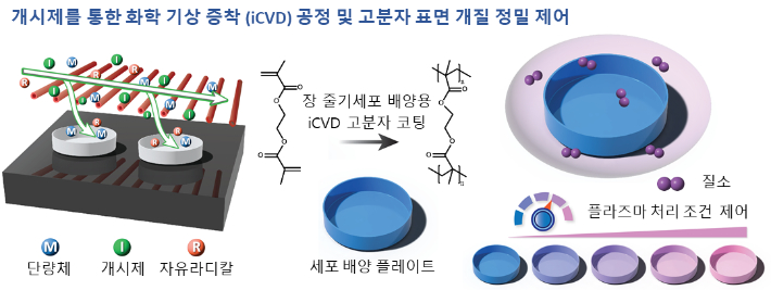 개시제를 통한 화학 기상 증착 (iCVD) 공정. KAIST 제공