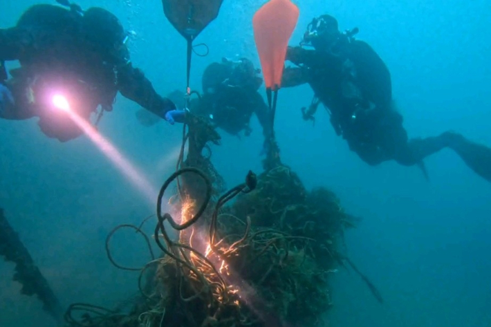 수중정화활동하는 소방대원들. 전국공무원노동조합 소방본부 강원소방지부 제공