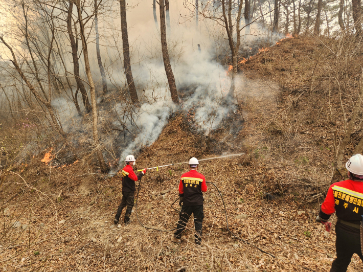 경주시 산불전문예방진화대가 산불 현장에서 진화 작업을 펼치고 있다. 경주시 제공