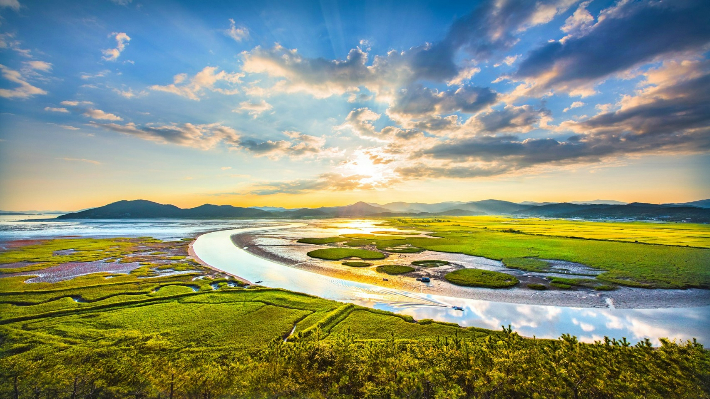 순천만 습지. 순천시 제공
