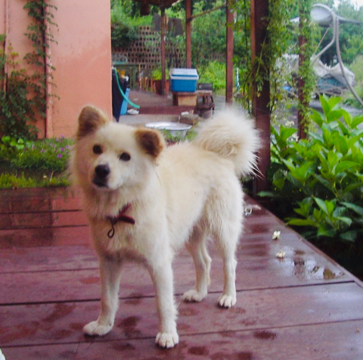 조중의 포항대학교 초빙교수·전직 언론인 제공
