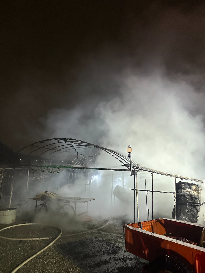  이날 오전 4시 19분쯤 대구 수성구 삼덕동의 한 농장 비닐하우스에서 불이 나 동거 중이던 70대 남성과 60대 여성이 숨졌다. 대구소방안전본부 제공