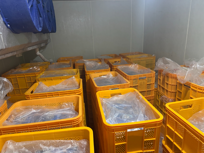 국내산으로 둔갑시킨 중국산 재첩. 여수해경 제공