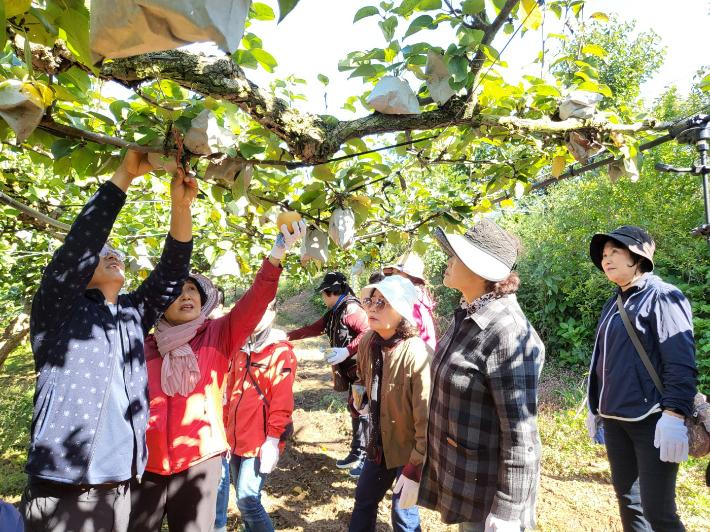 행복바우처- 여성농업인 활동. 전라남도 제공