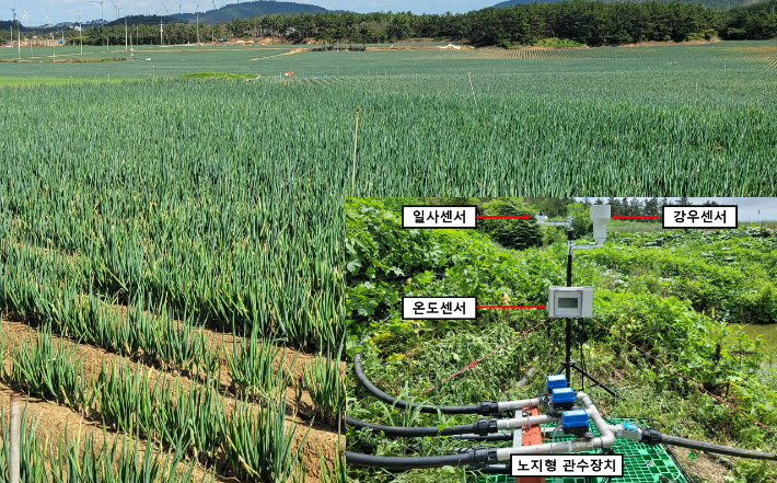 노지채소 스마트 물관리 장치. 전라남도 제공