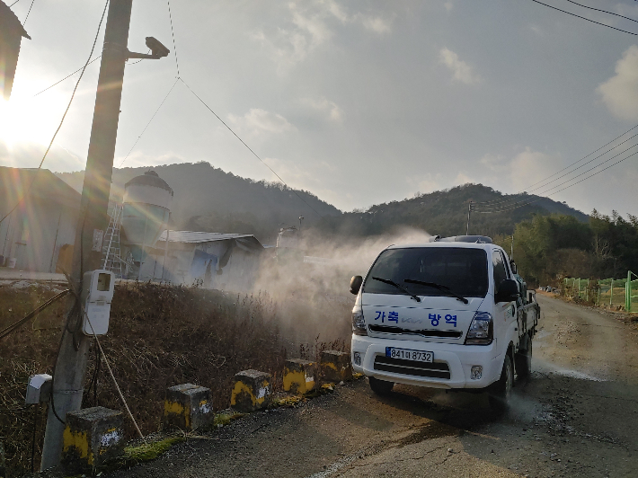  27일 전남 영암군 도포면 소재 육용오리 농장에서 H5형 조류인플루엔자(AI) 항원이 확인된 가운데 농정 당국이 즉각 초동방역 조치에 나서고 있다. 전라남도 제공