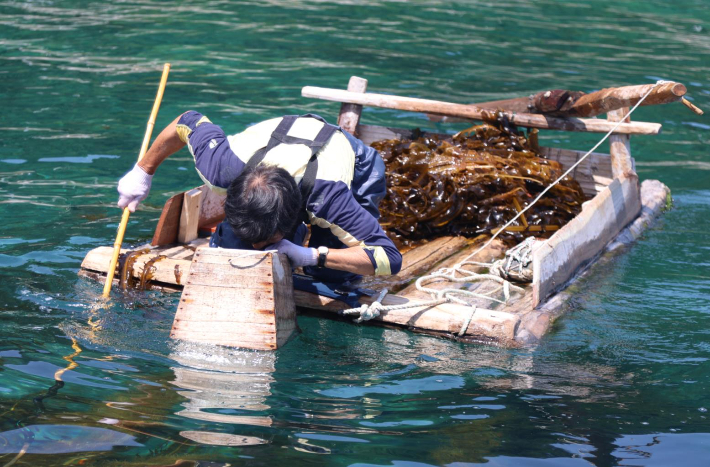 강릉 창경바리어업. 강릉시 제공