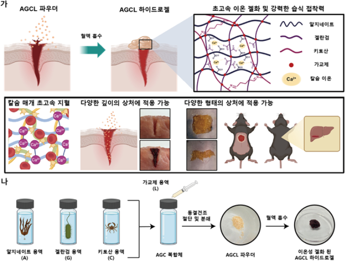 AGCL 파우더 개발 전략과 제작 개략도. KAIST 제공