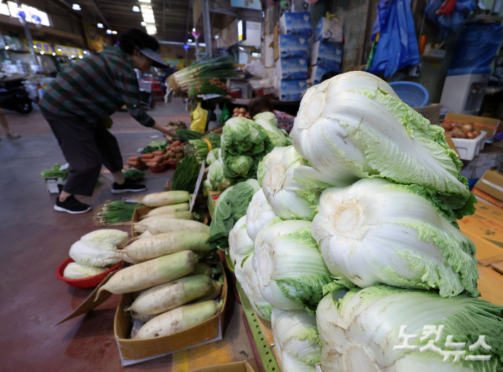 서울시내 한 전통시장에서 판매 중인 배추 모습. 황진환 기자
