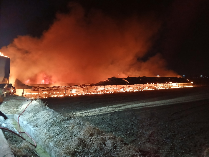 충북소방본부 제공