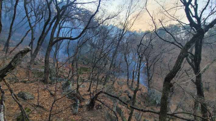 강릉 연곡 산불 현장. 강원도산불방지대책본부 제공