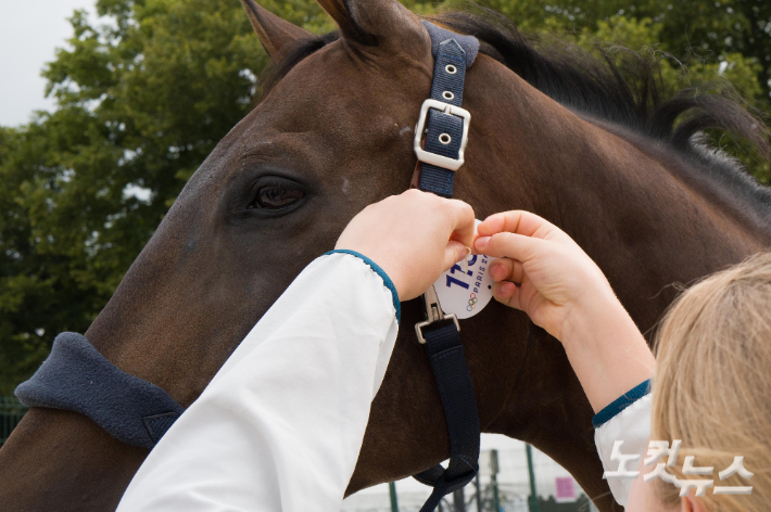 전북, 전국 최초 '말 보호시설' 구축…'제2의 마생(馬生)' 지원